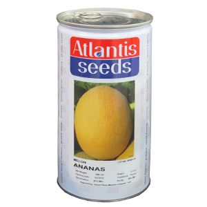بذر خربزه آناناسی آتلانتیس هلند
